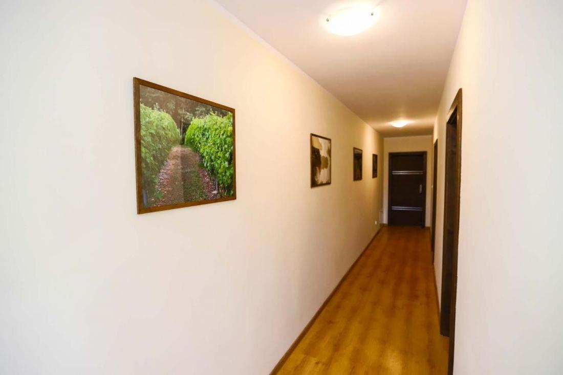 Winnica Anna Noclegi Krosnice ภายนอก รูปภาพ